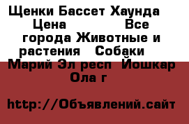 Щенки Бассет Хаунда  › Цена ­ 25 000 - Все города Животные и растения » Собаки   . Марий Эл респ.,Йошкар-Ола г.